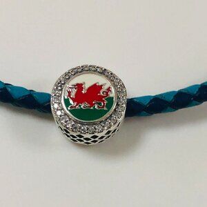 ✨✨Pandora Flag of Wales bead CHARM
